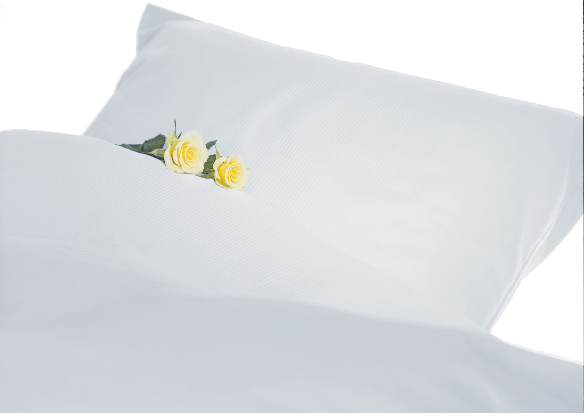 Hotelbettwäsche Streifensatin 2 mm Weiß