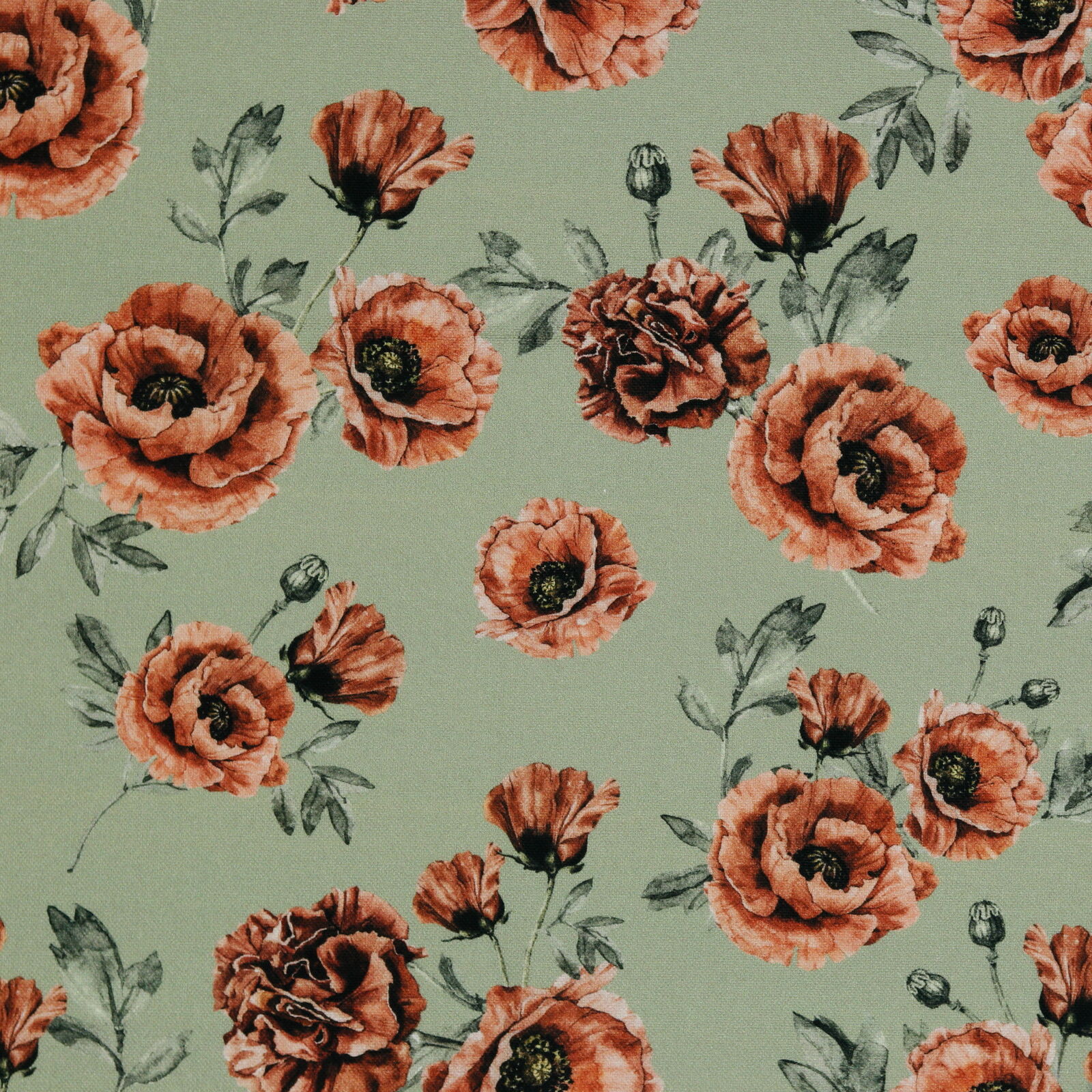 Mohnblumen Stoff Grün Canvas