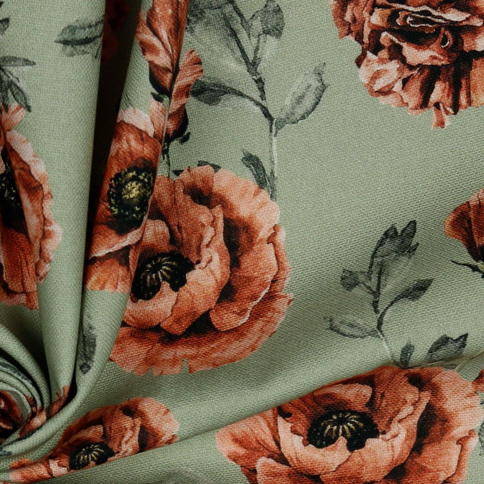 Mohnblumen Stoff Grün Canvas