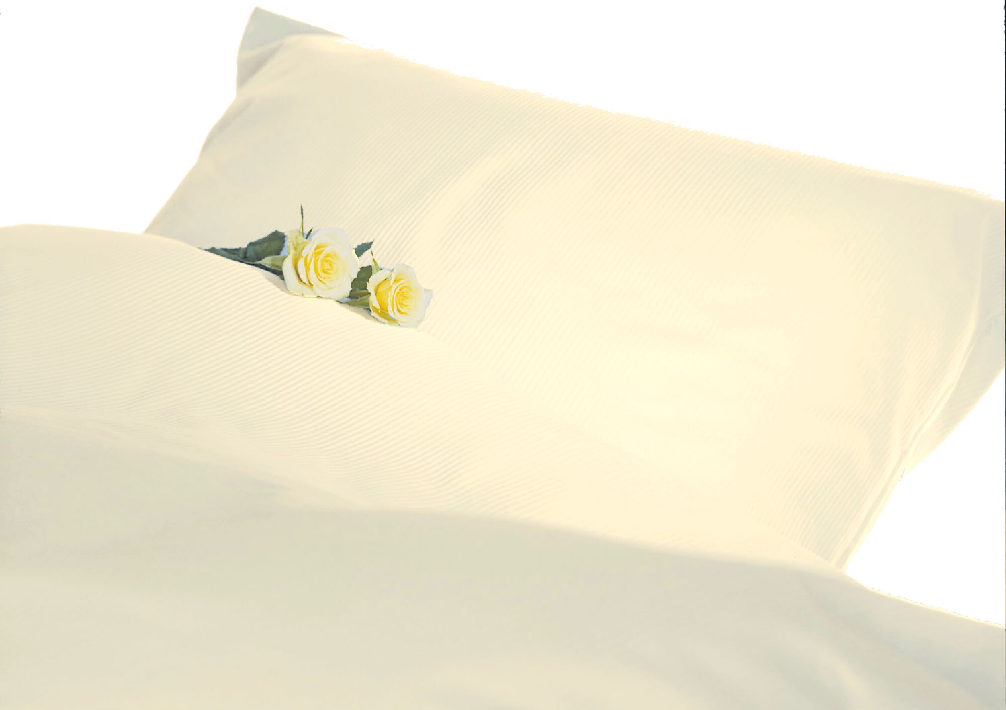 Hotelbettwäsche Streifensatin 2 mm Sekt