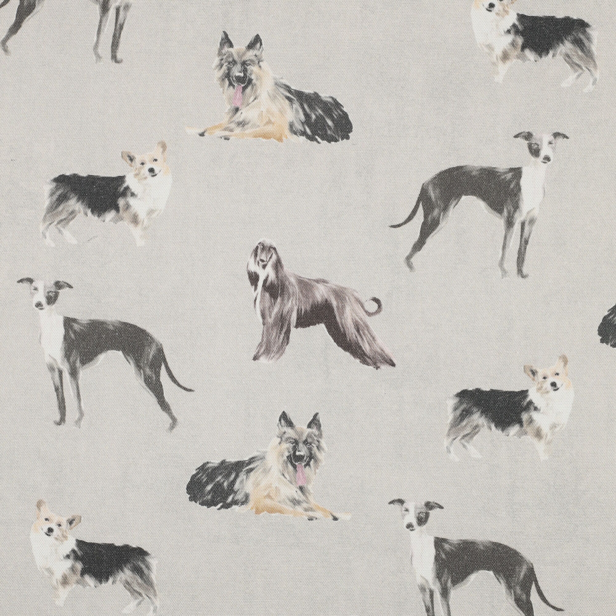Hunde Stoff Baumwolle Canvas Hundemotiv Meterware