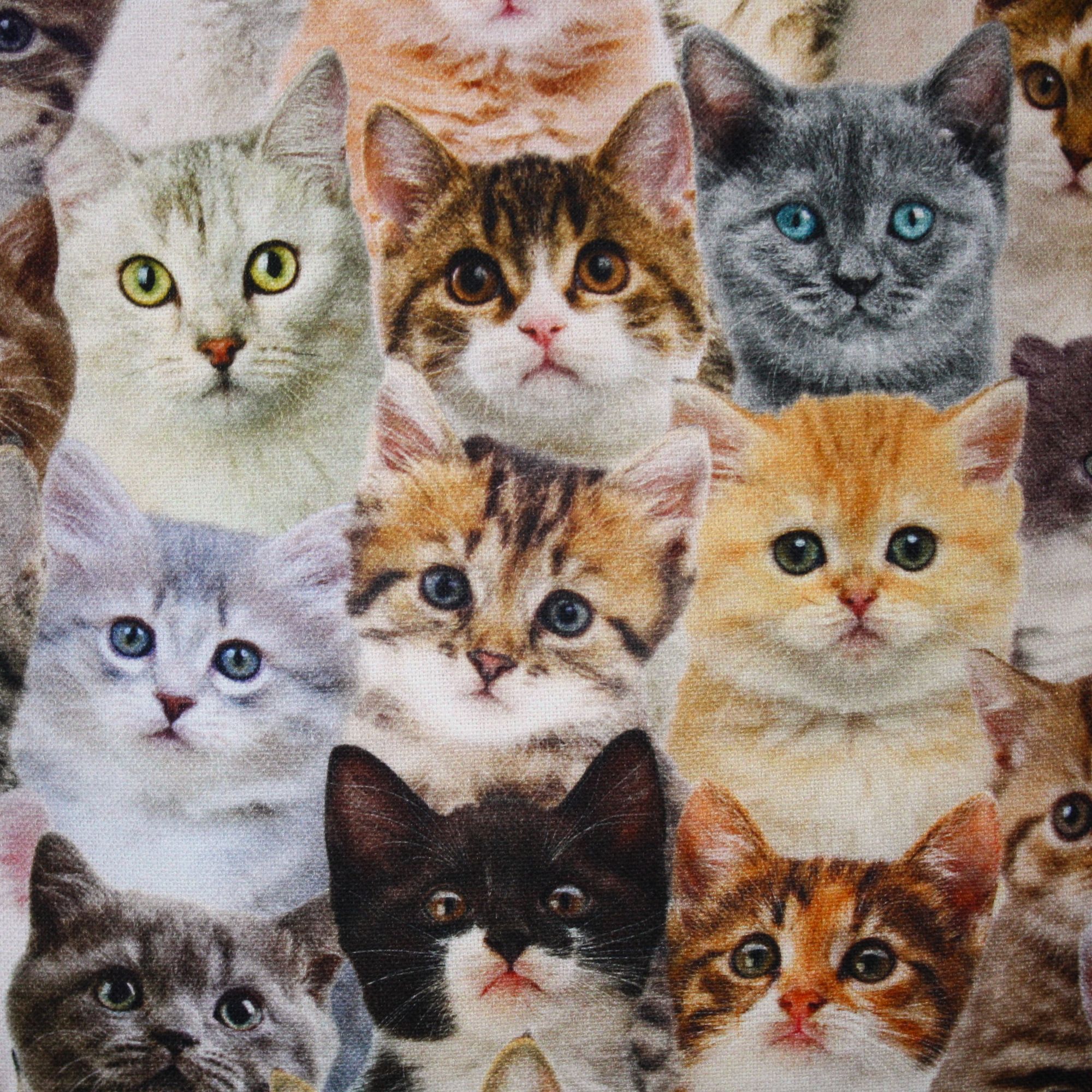 Kissenbezug Katzen Kinder Baumwolle-30x30 cm